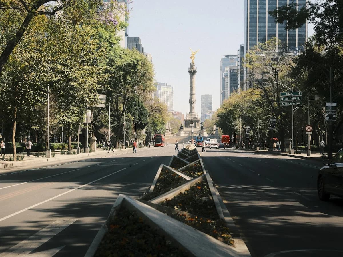 Una avenida arbolada de la Ciudad de México